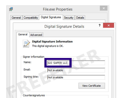 Screenshot of the GO SAFER LLC certificate